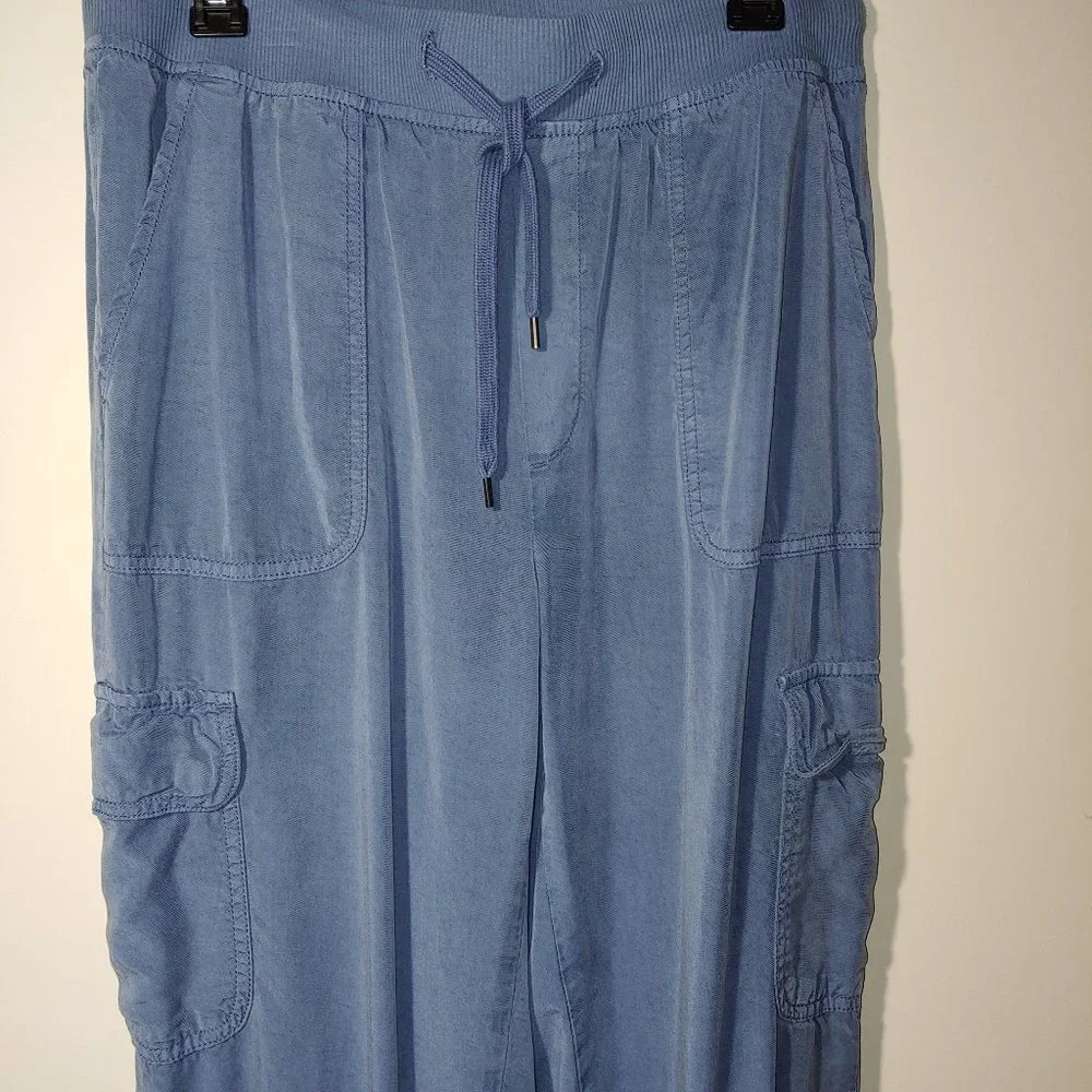 American Eagle Cargo Cuffed Pull On Joggers size M Blue